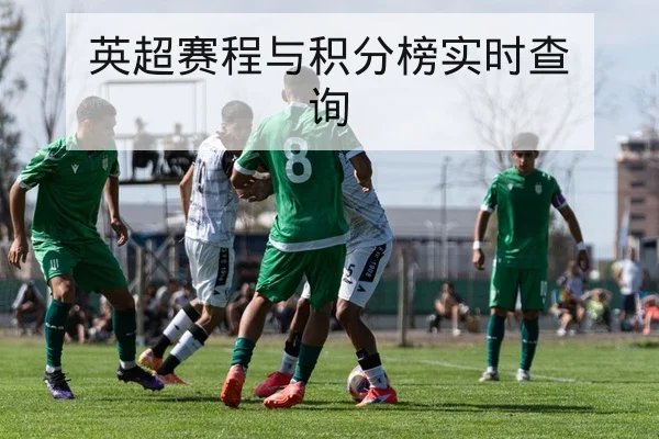 英超赛程与积分榜实时查询